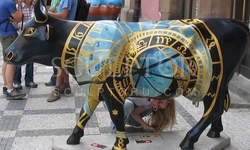 Krowa Horoskop